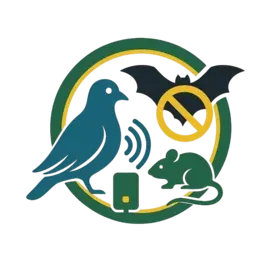 שלום Pigeons לוגו